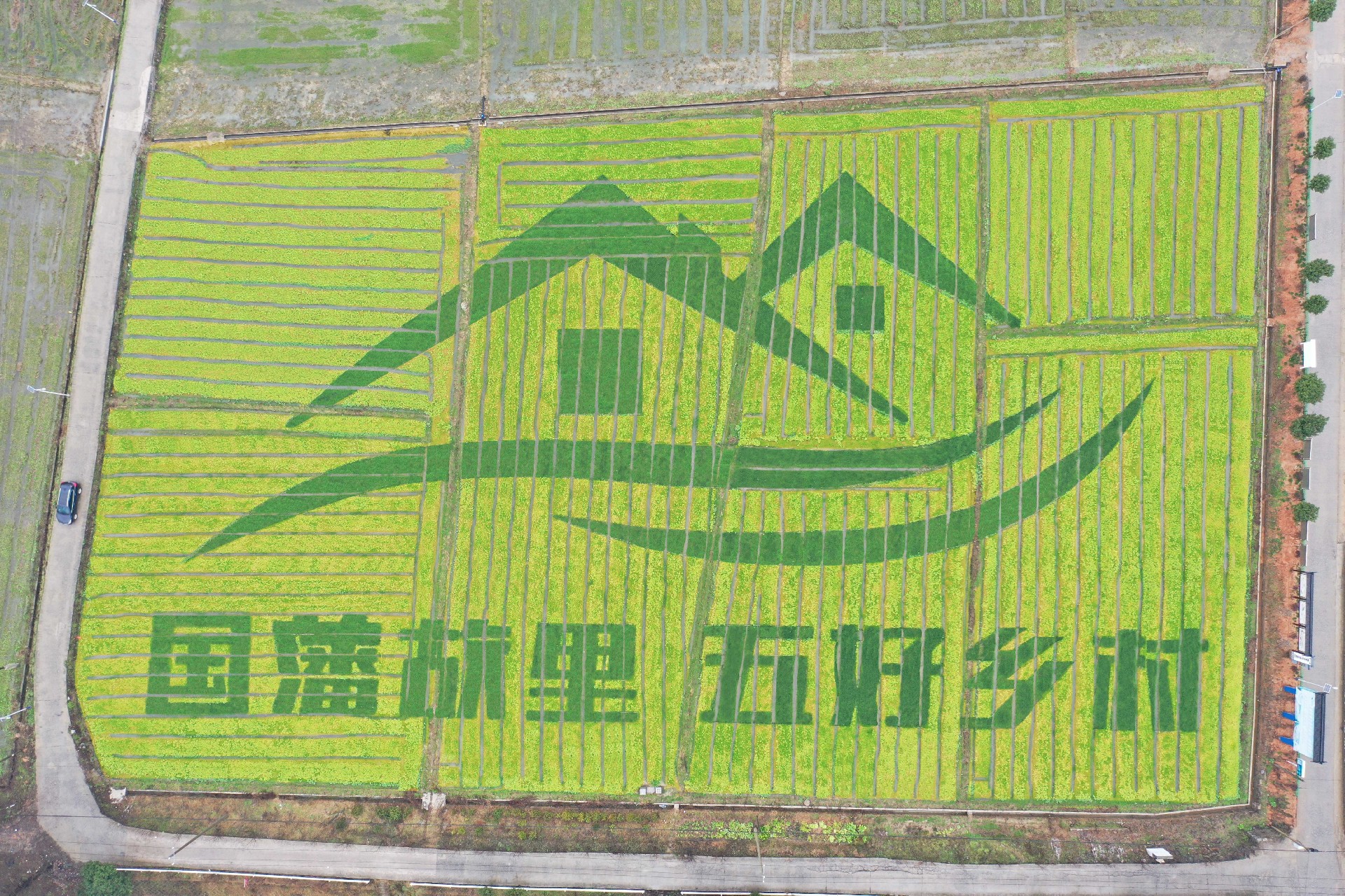 微信图片_20250407160419.jpg