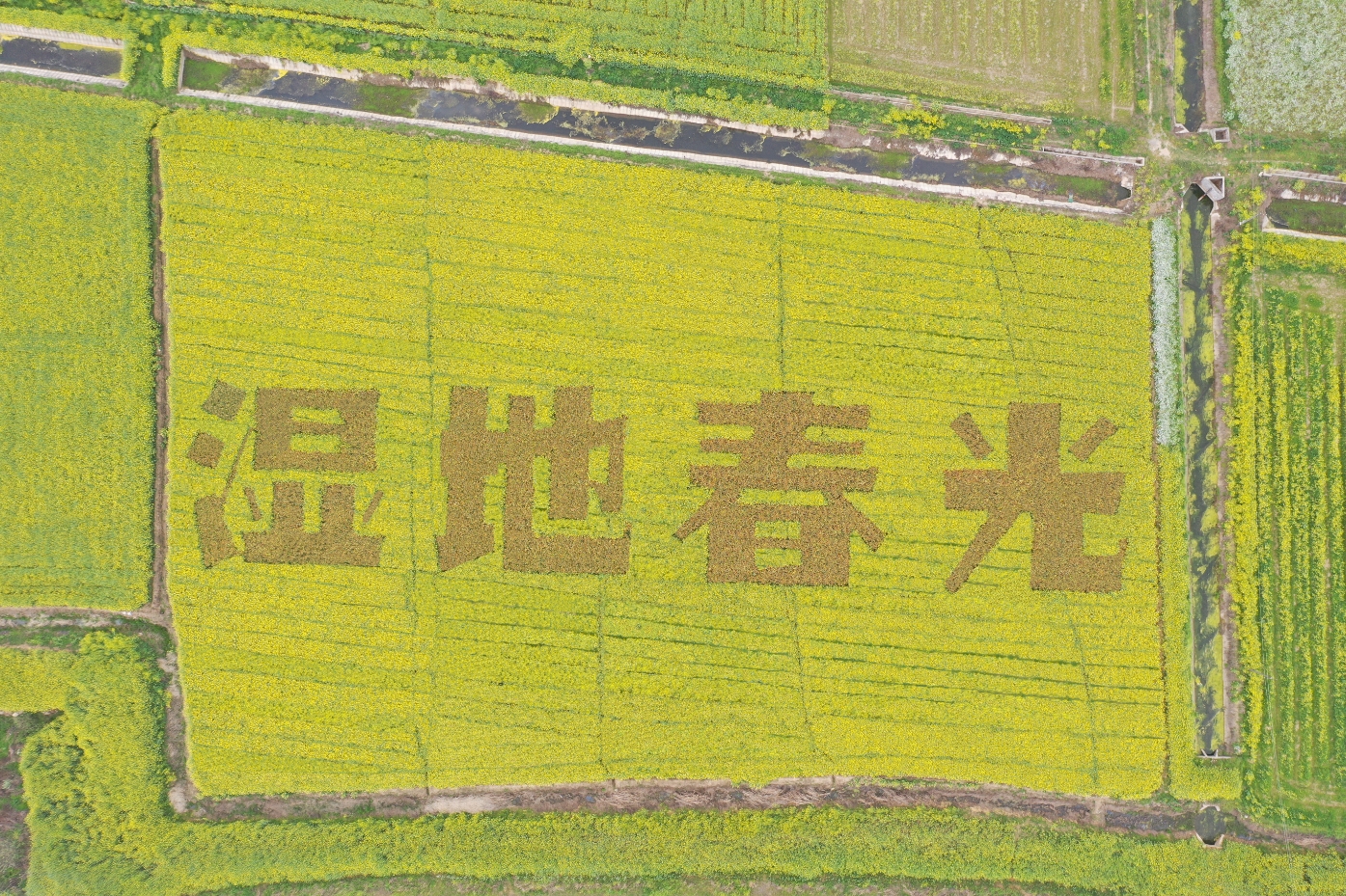 微信截图_20250416153239.jpg