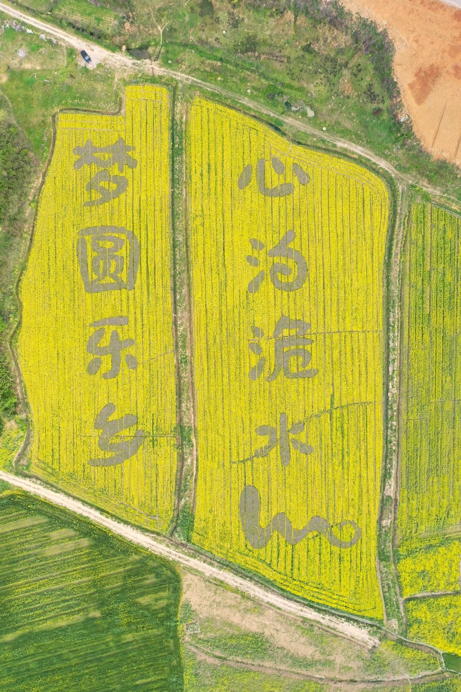 微信截图_20250418153313.jpg