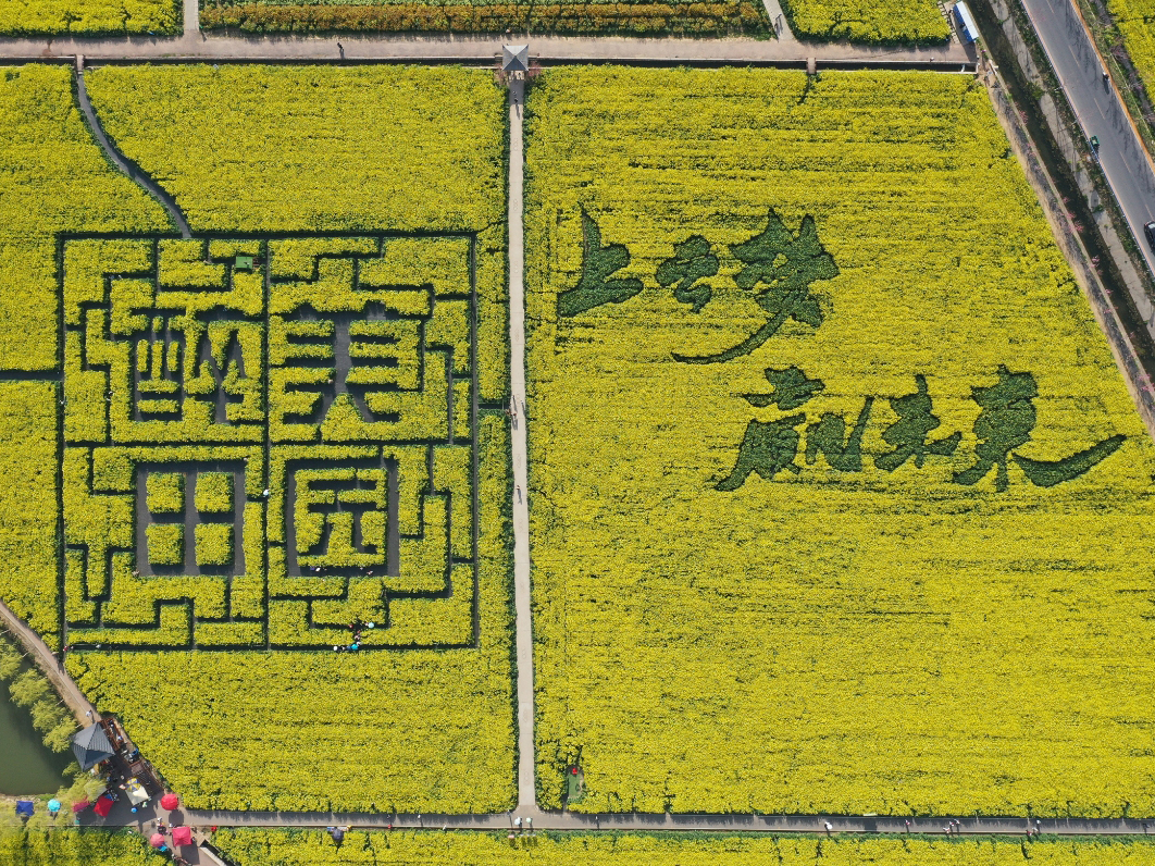 微信截图_20250418154145.jpg