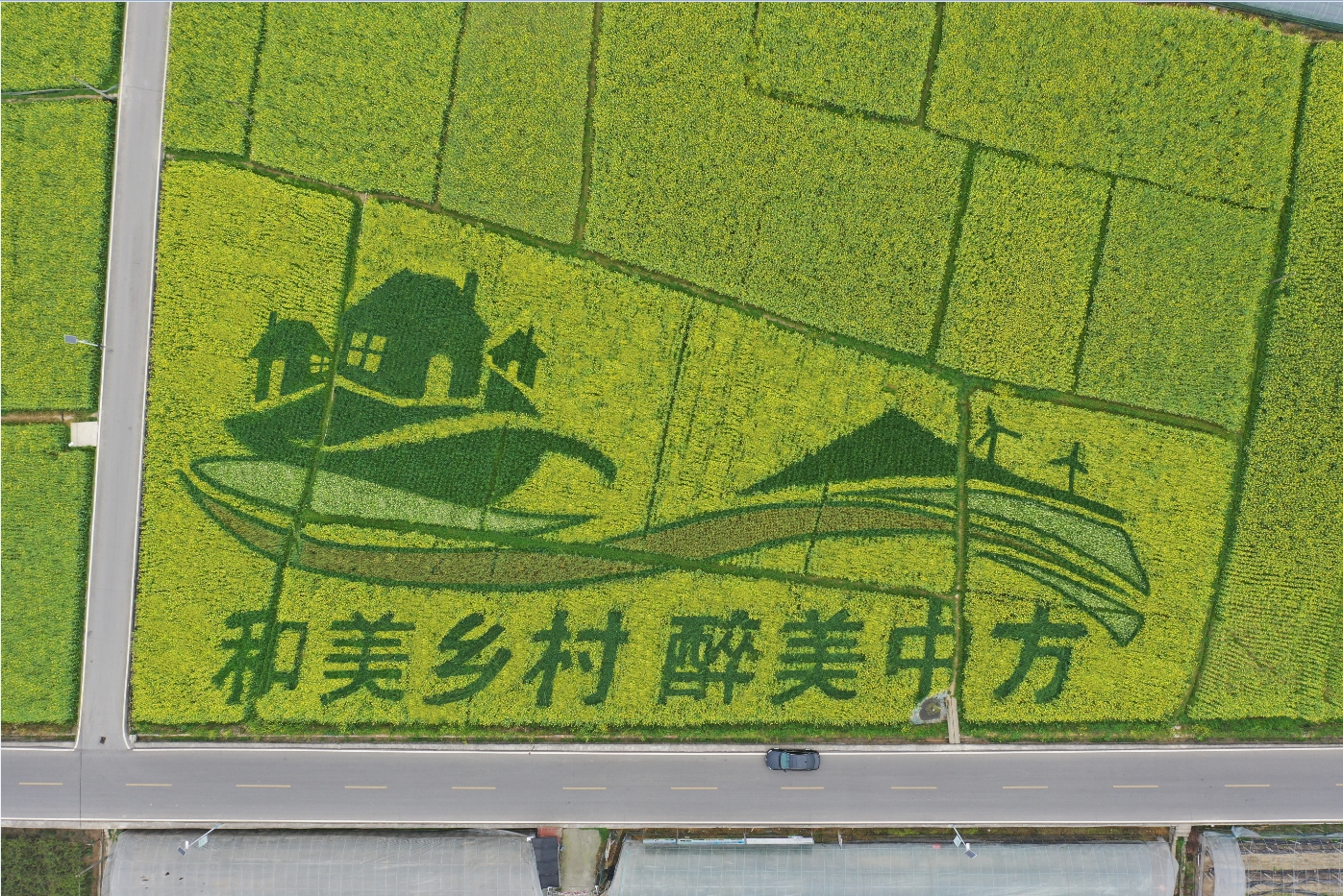 微信截图_20250418154741.jpg