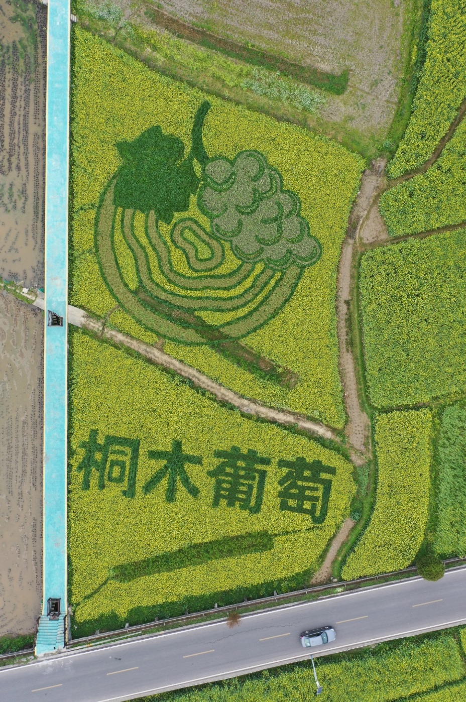 微信截图_20250418154908.jpg